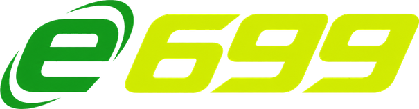 e699